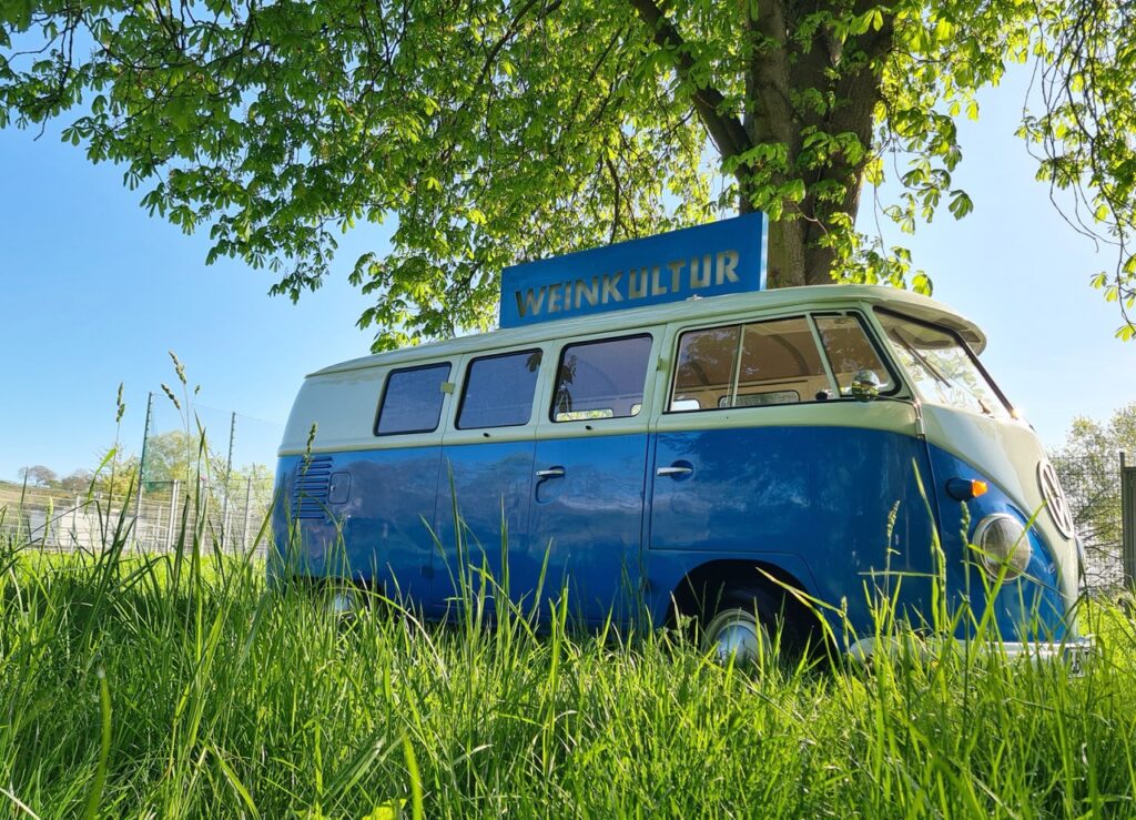 VW Bus der Weinkultur in blau und weiß