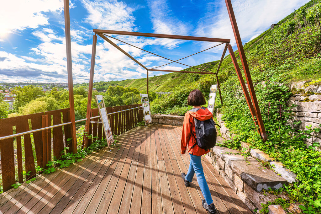 Eine Person mit orangener Jacke und schwarzem Rucksack läuft in Richtung der Infoschilder am Pavillon. Im Hintergrund sind Weinberge zu sehen. Die Sonne scheint. 