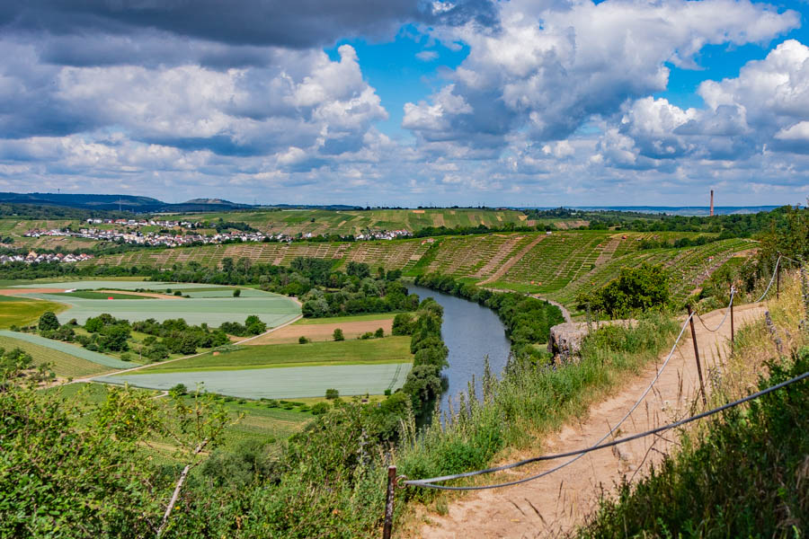 Blick auf eine Landschaft mit einem Fluss und Weinbergen