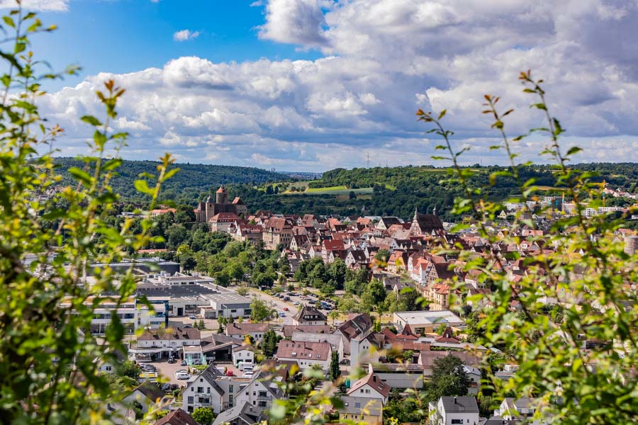 Blick auf die Altstadt von Besigheim.